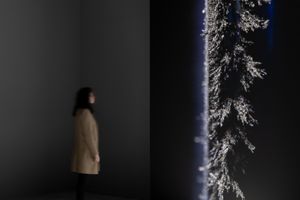 Exhibition view: Sigurður Guðjónsson, _Perpetual Motion._ Icelandic Pavilion, The 59th International Art Exhibition, La Biennale di Venezia (23 April–27 November 2022). Courtesy of the artist and BERG Contemporary. Photo: Ugo Carmeni.